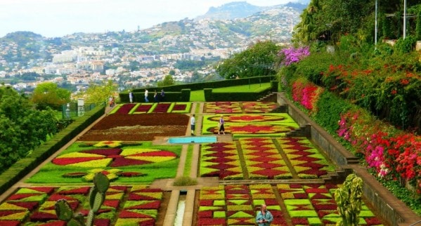 Madeira Island Gardens mini